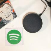 Spotify Google Home Mini