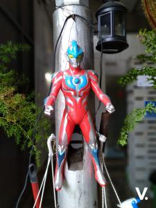 ASUS ZenFone Max Pro M2 sample shot