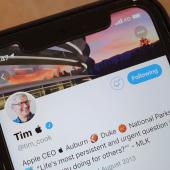 Tim Apple