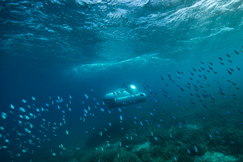 scUber Great Barrier Reef
