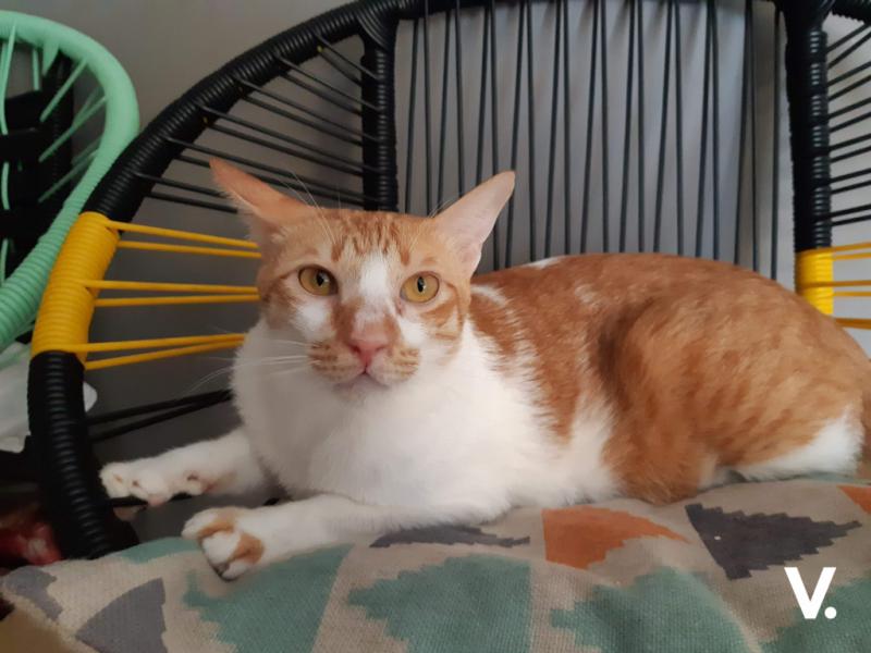Samsung Galaxy A30 sample photo