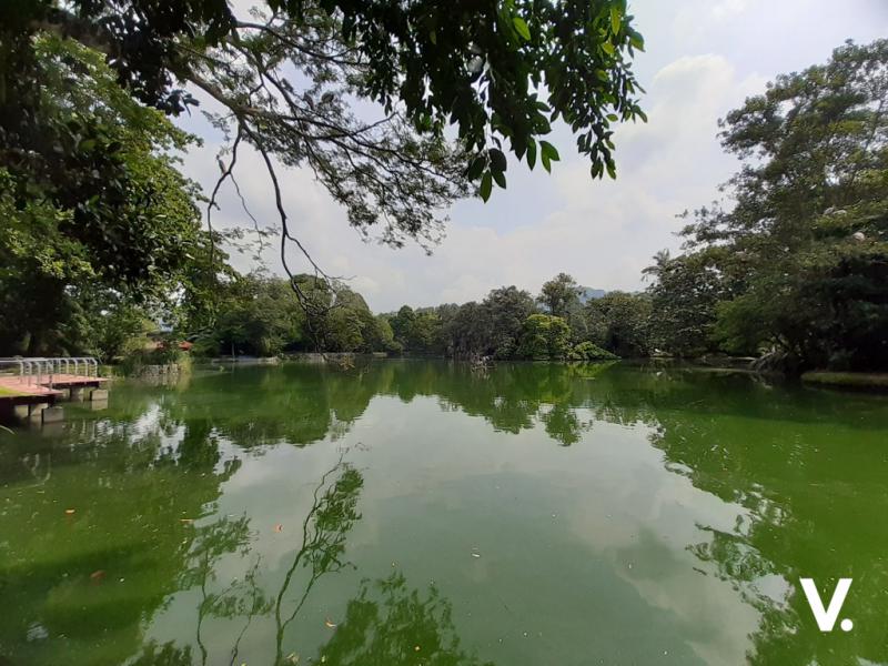 Samsung Galaxy A30 sample photo