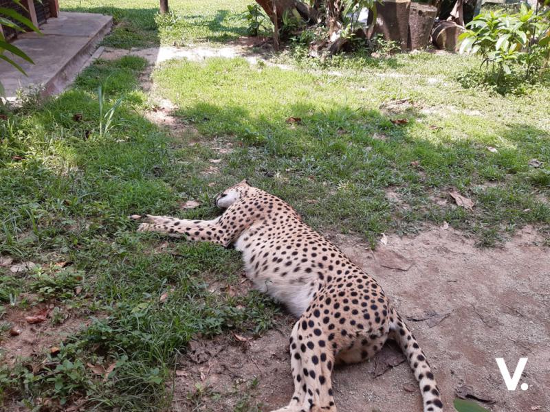 Samsung Galaxy A30 sample photo