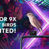 honor 9X Early Access Program
