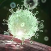 Coronavirus visualisation