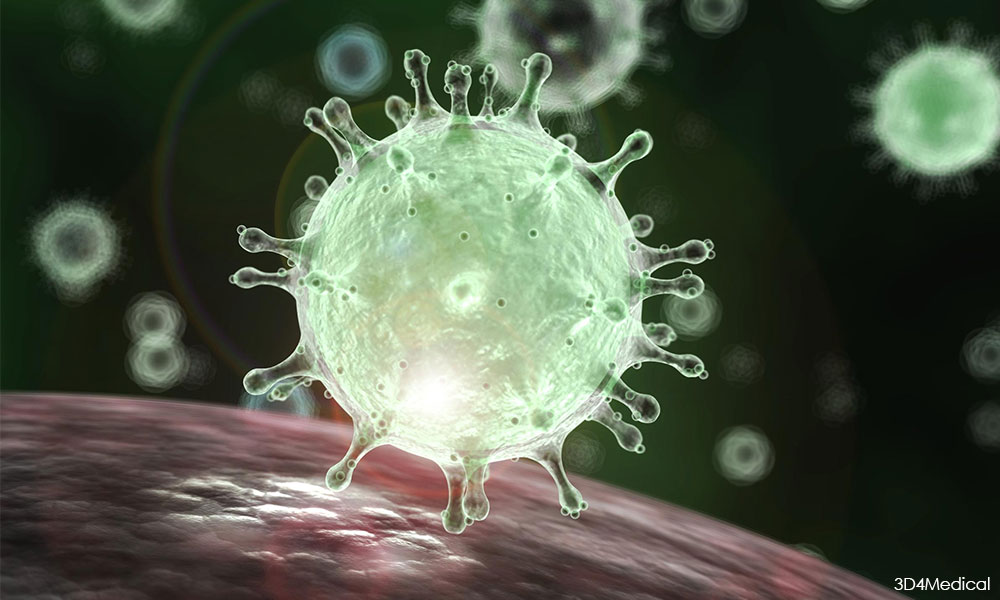 Coronavirus visualisation
