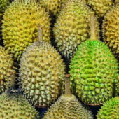 Shopee 6.6 Super Sale Durians