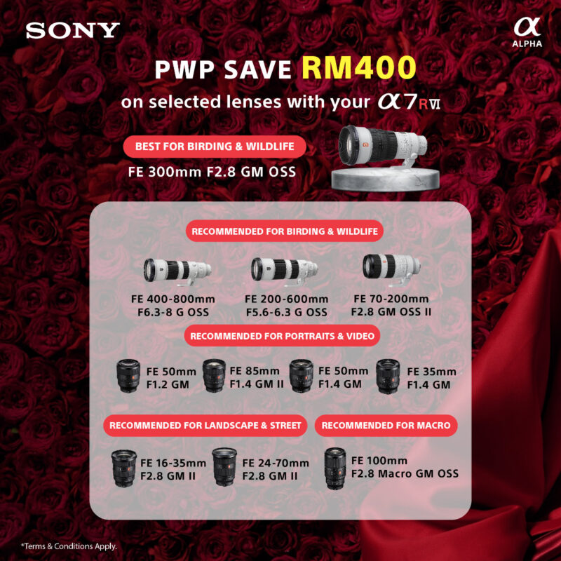 Sony A7R VI PWP promo