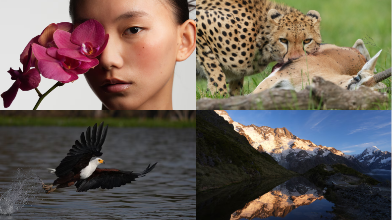 Sony A7R VI sample images