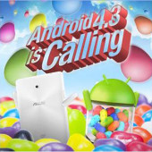 ASUS 4.3 JellyBean |