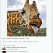 Millie_facebook1