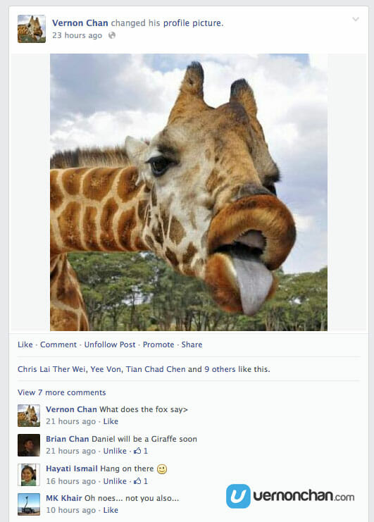 Millie_facebook1