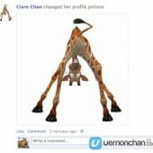 Millie_facebook3