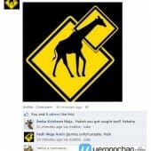 Millie_facebook4