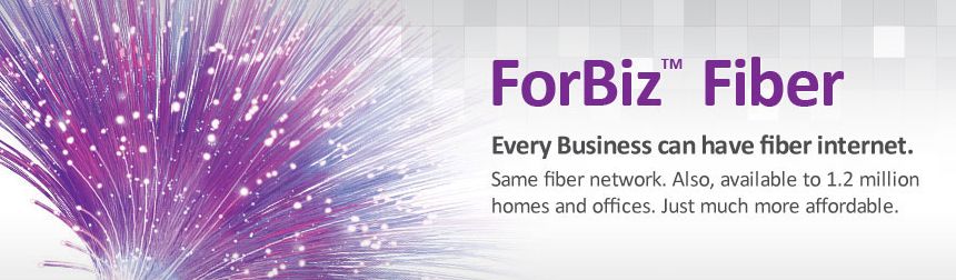 P1 ForBiz Fiber Plan thumb