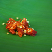 Sony A5000 Samples 4 LR |