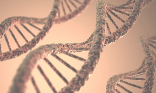 DNA Analysis