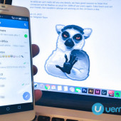 Telegram DDoS